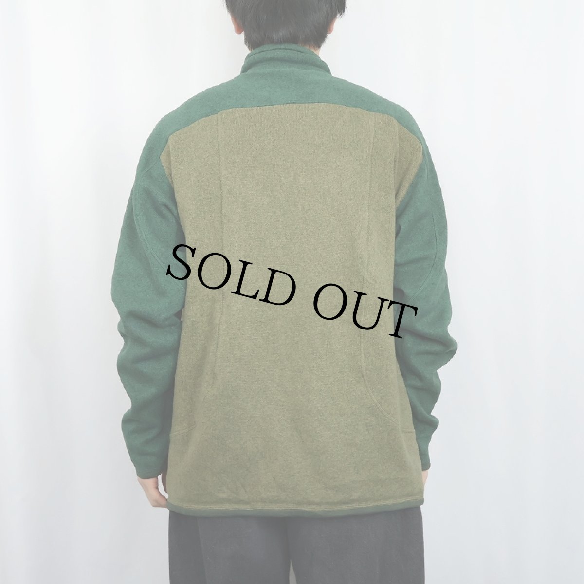 画像3: 2014AW Pataonia ハーフジップベターセーター XL (3)