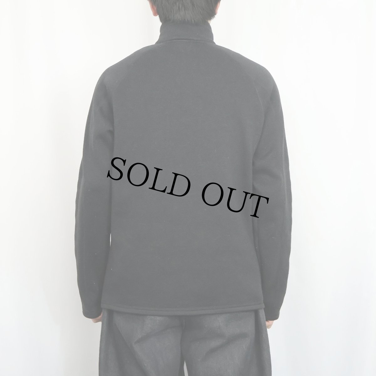 画像3: 2019AW Patagonia ハーフジップベターセーター BLACK M (3)