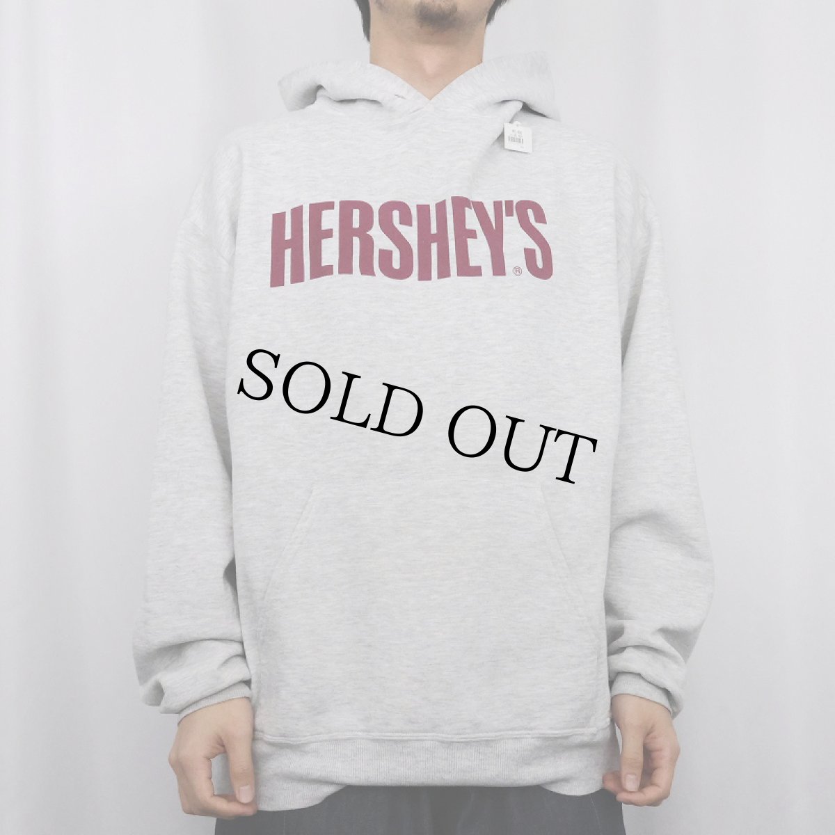 画像2: 90〜2000's HERSHEY'S お菓子企業 ロゴプリントスウェットフーディー L (2)