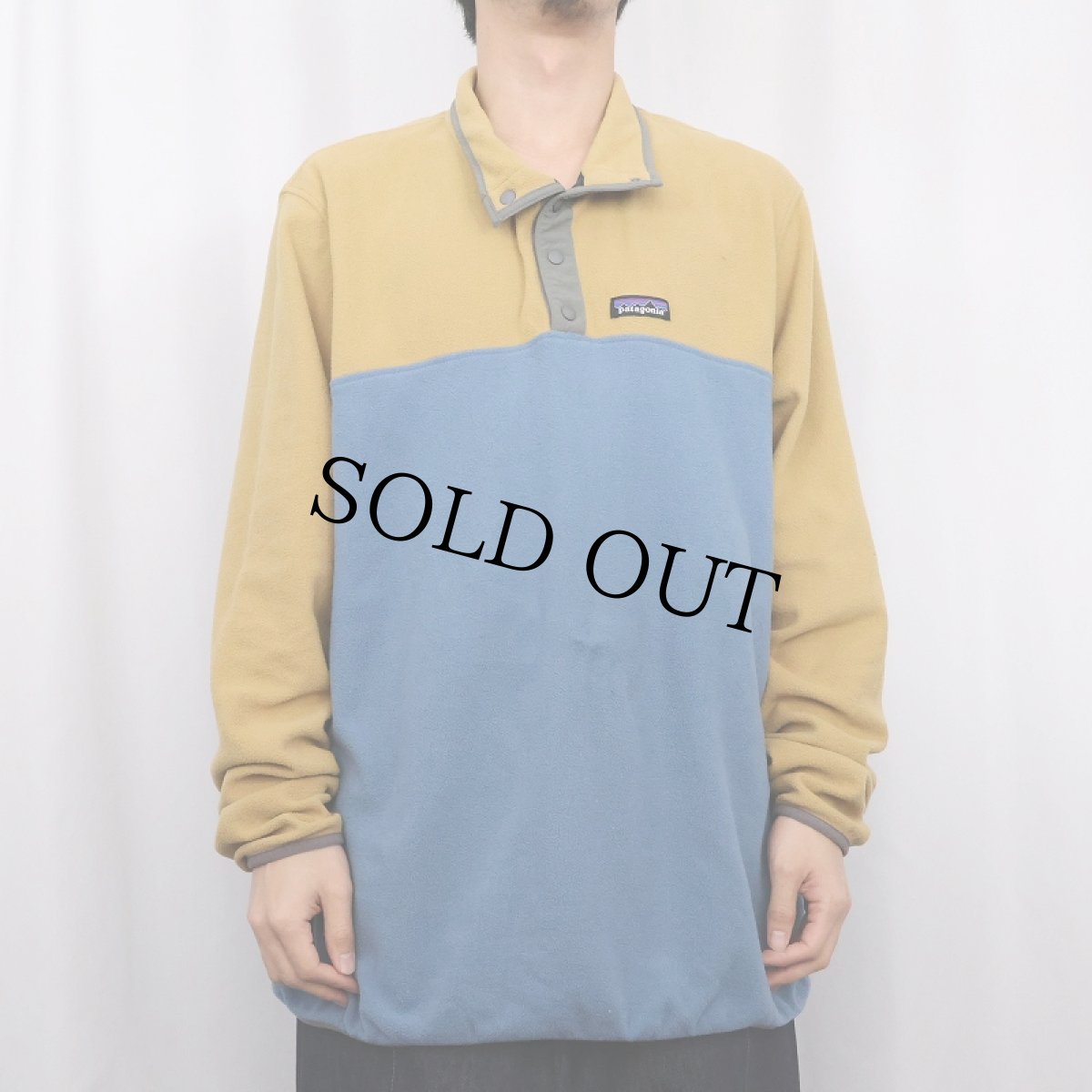 画像2: 2020AW Patagonia マイクロD スナップT XL (2)