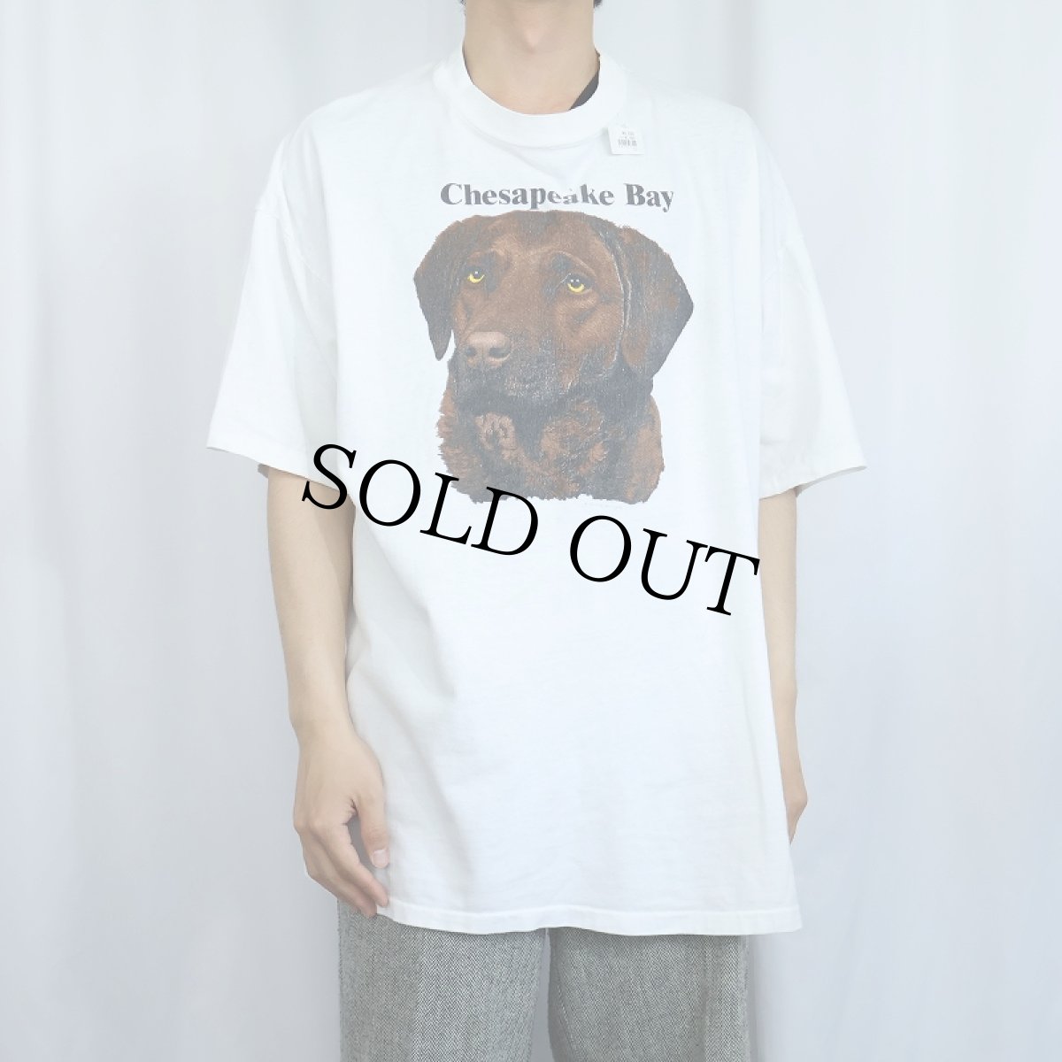 画像2: 90's USA製 "Chesapeake Bay" 犬プリントＴシャツ XXL (2)