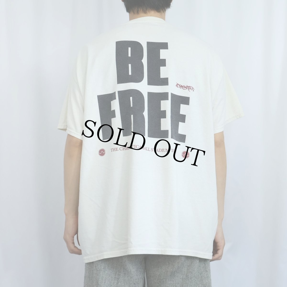 画像4: LADY GAGA "BE FREE" ミュージシャンTシャツ XL (4)