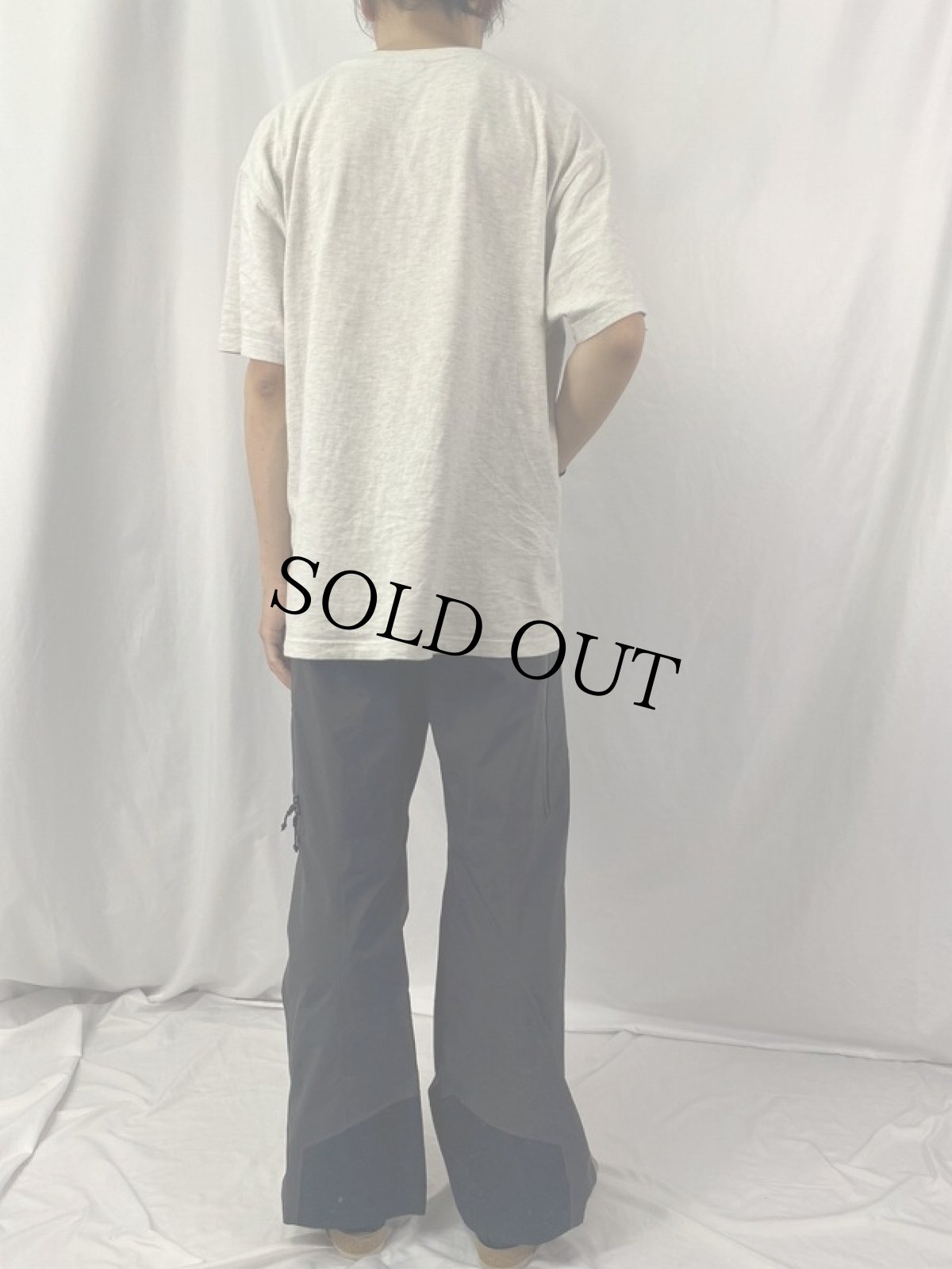 画像4: ARC'TERYX GORE-TEX スノーパンツ M (4)