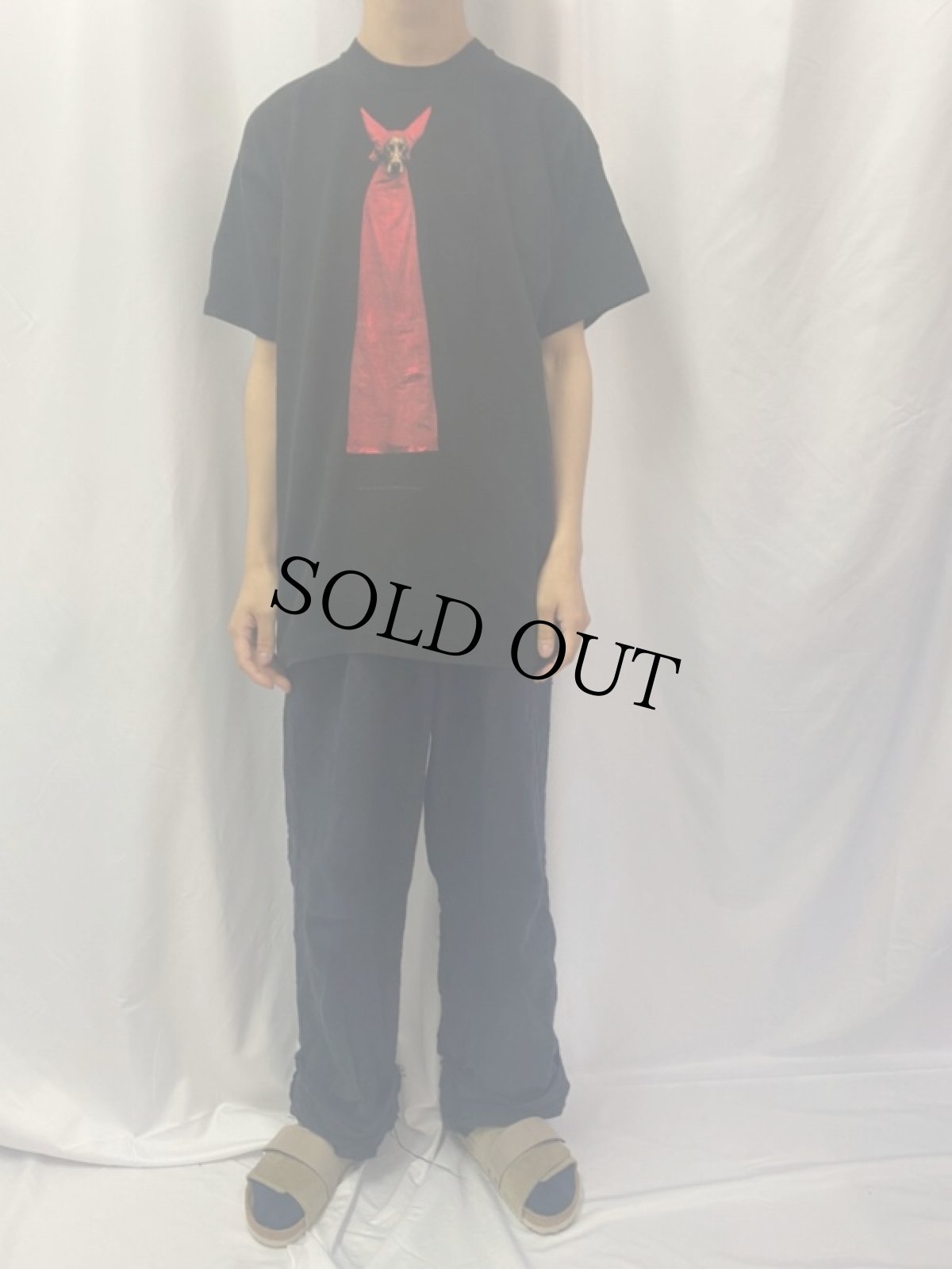 画像2: 90's WILLIAM WEGMAN USA製 "DEVIL DOG" アートプリントTシャツ XL (2)