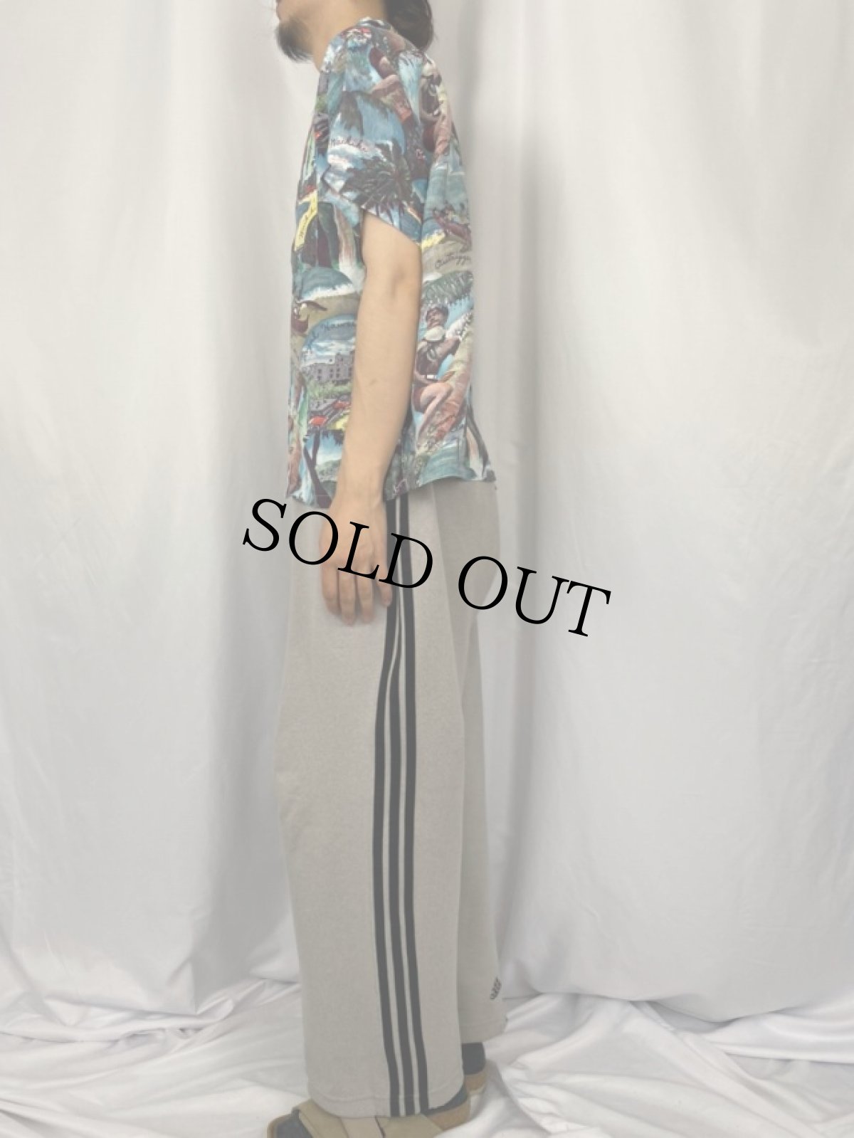 画像3: 50's CAMPUS フォトパターン レーヨンアロハシャツ ML (3)