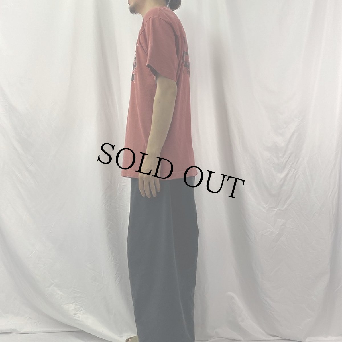 画像3: 90's cows USA製 "AMPHETAMINE REPTILE RECORDS" バンドTシャツ L (3)