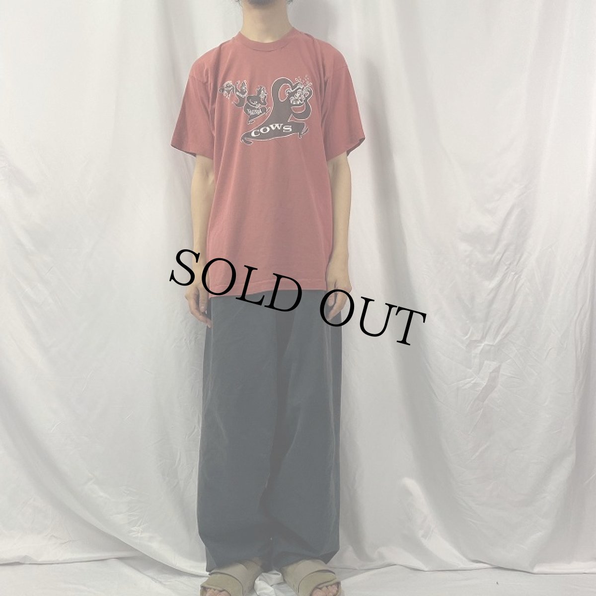 画像2: 90's cows USA製 "AMPHETAMINE REPTILE RECORDS" バンドTシャツ L (2)