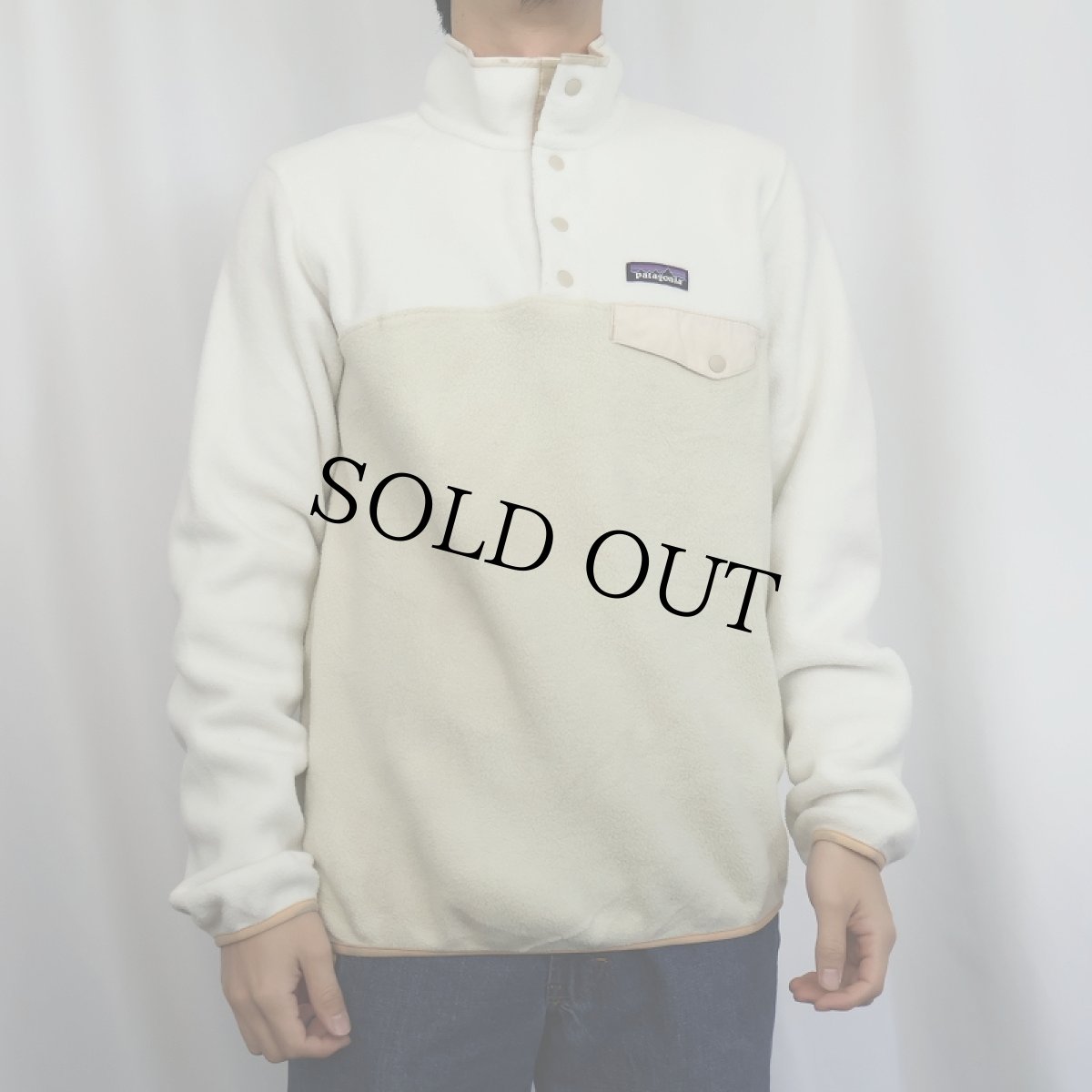 画像2: 2016AW Patagonia スナップT M (2)