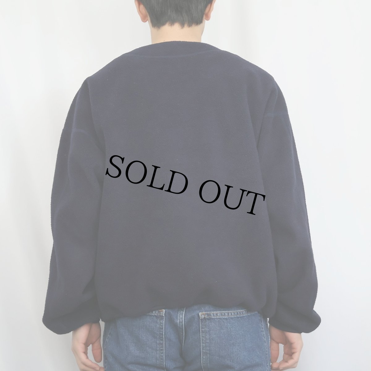 画像3: 90's Patagonia USA製 シンチラフリースプルオーバー L (3)