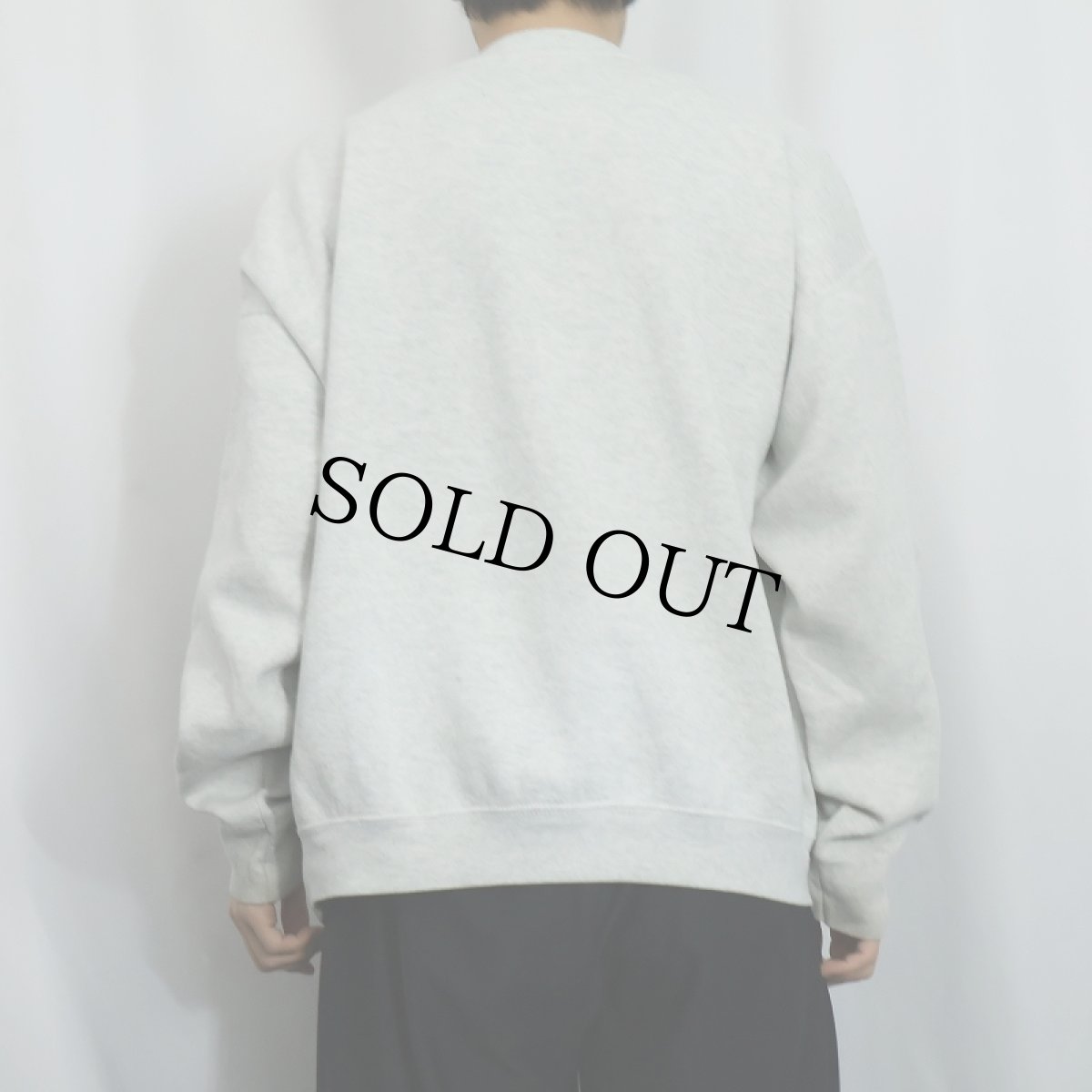 画像3: 90's Dr.Seuss "Calvin Klein" パロディプリントスウェット (3)