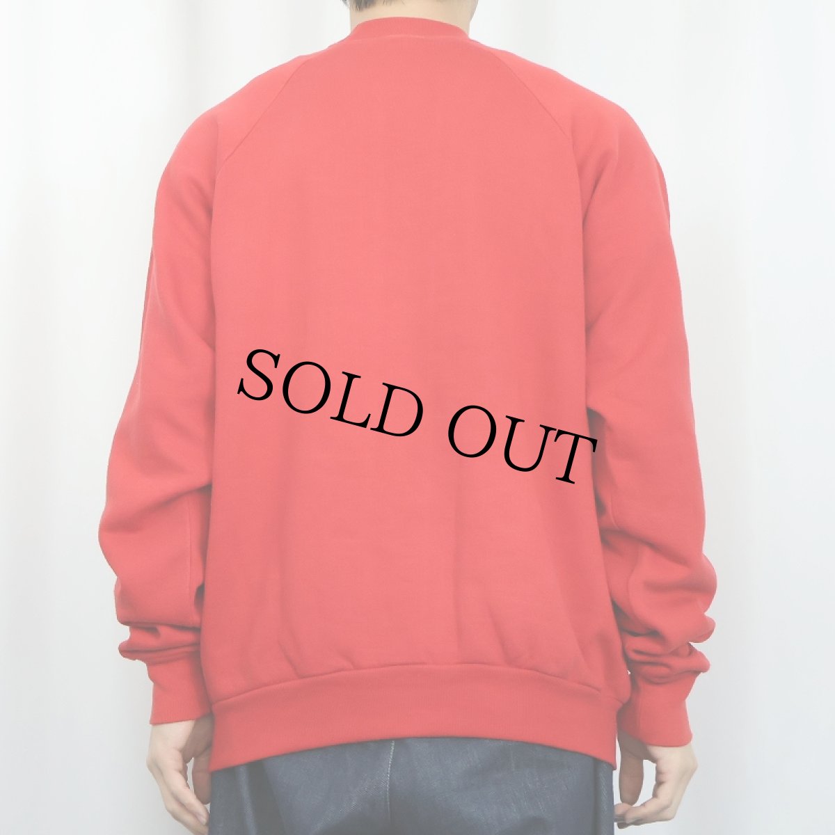 画像3: 80's〜 Levi's ITALY製 "Two Horses" フロッキープリントスウェット XL (3)