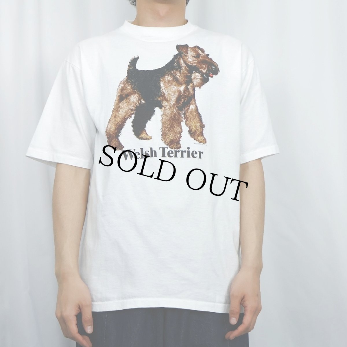 画像2: 90's USA製 "Welsh Terrier" 犬プリントTシャツ L (2)