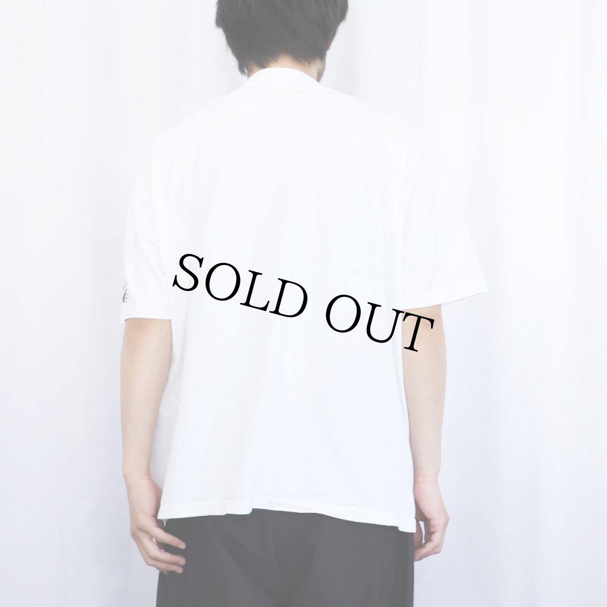 画像3: 90's Central Pennsylvania Festival of the Arts USA製 アートプリントTシャツ XL (3)