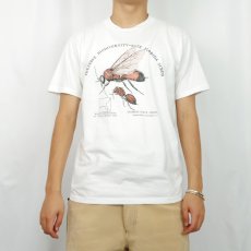 画像2: 90's USA製 "PRESERVE BIODIVERSITY-SAVE FLORIDA SCRUB" 蟻プリントTシャツ M (2)
