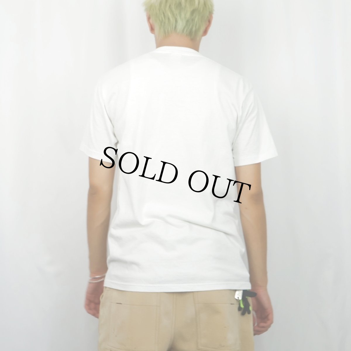 画像3: 90's USA製 "PRESERVE BIODIVERSITY-SAVE FLORIDA SCRUB" 蟻プリントTシャツ M (3)