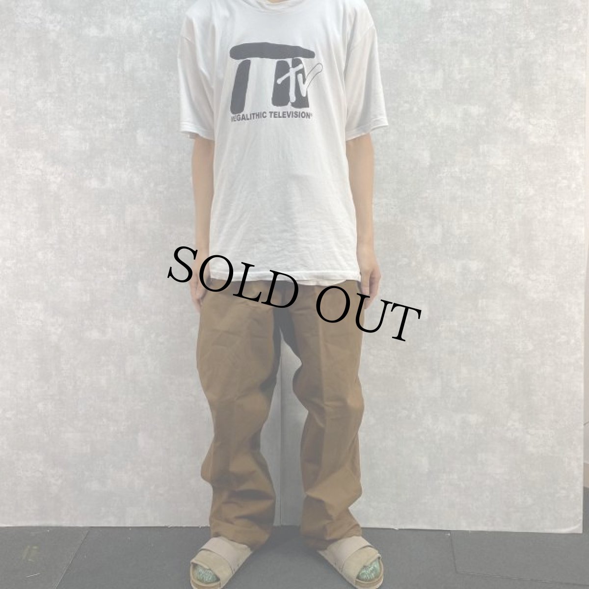 画像2: 40〜50's SNCF フランス国鉄 針刺しシンチ ダックワークパンツ DEADSTOCK (2)