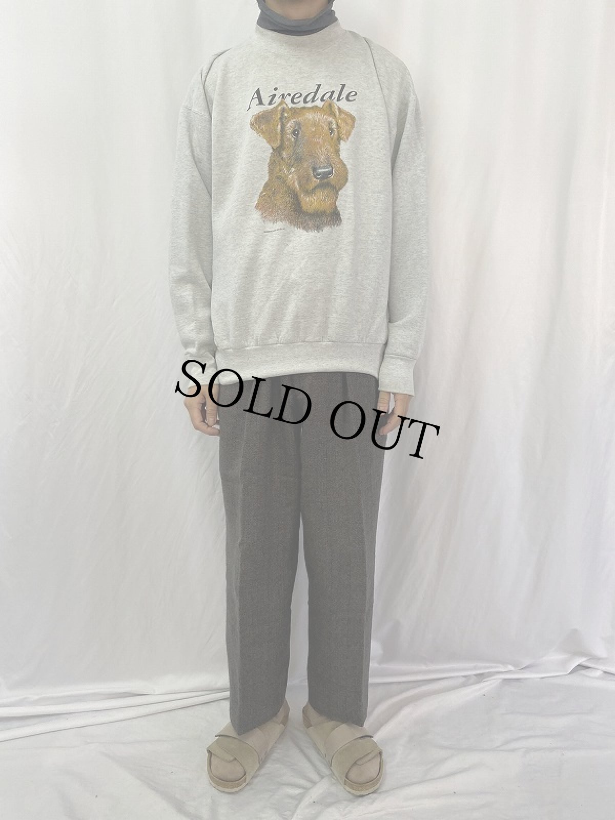 画像2: 90's CANADA製 "Airedale" 犬イラストプリントスウェット XL (2)