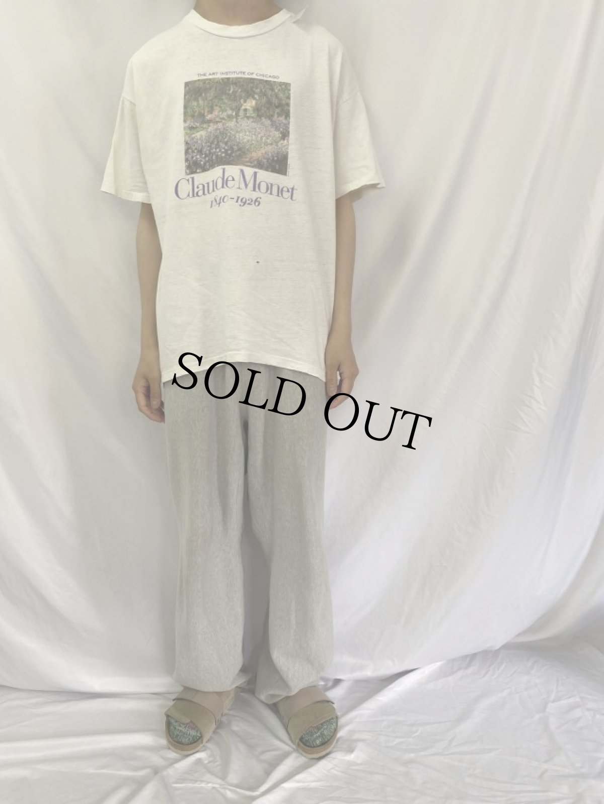 画像2: 90's Claude Monet USA製 "Irises" アートプリントTシャツ XL (2)