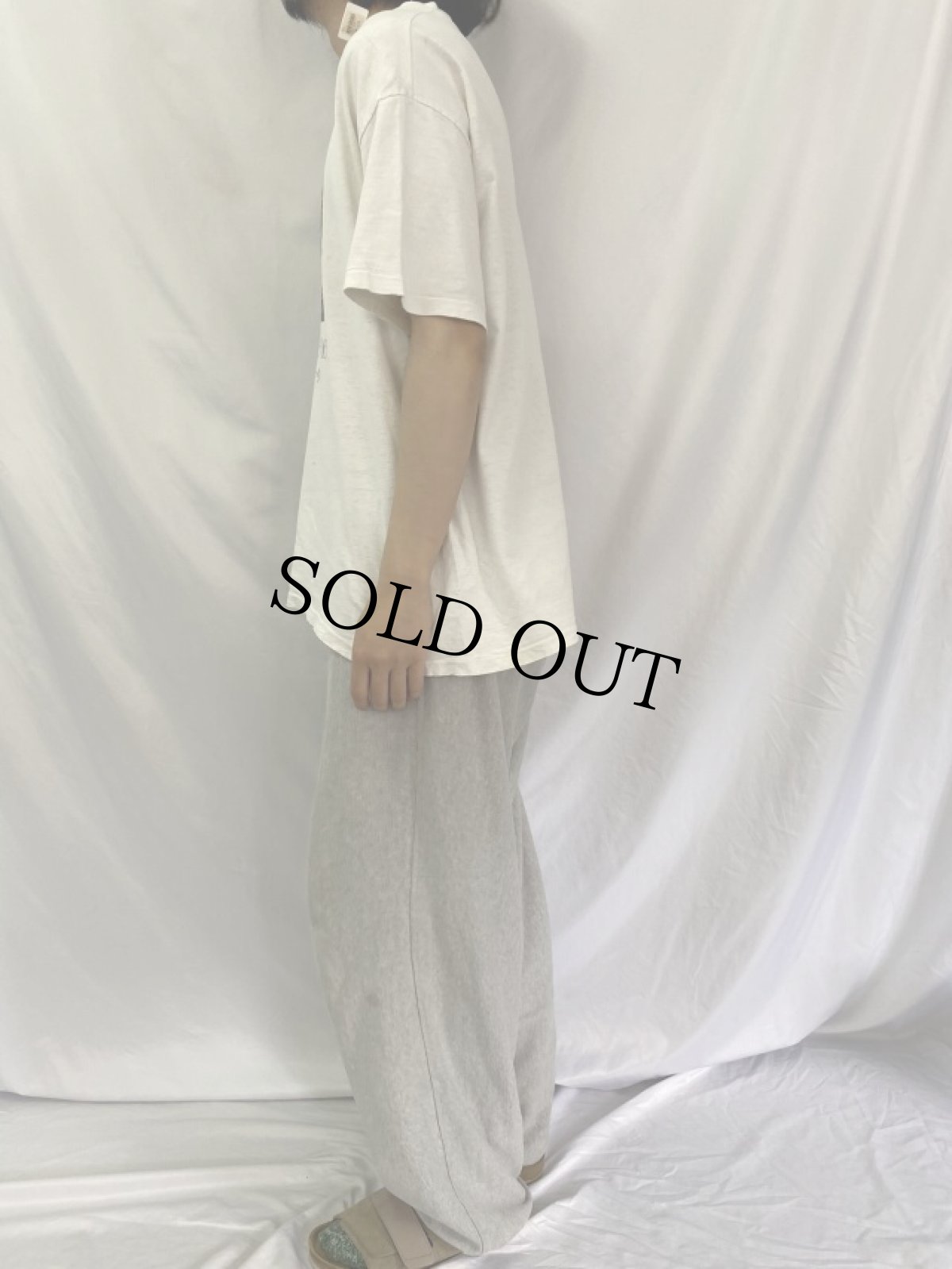 画像3: 90's Claude Monet USA製 "Irises" アートプリントTシャツ XL (3)