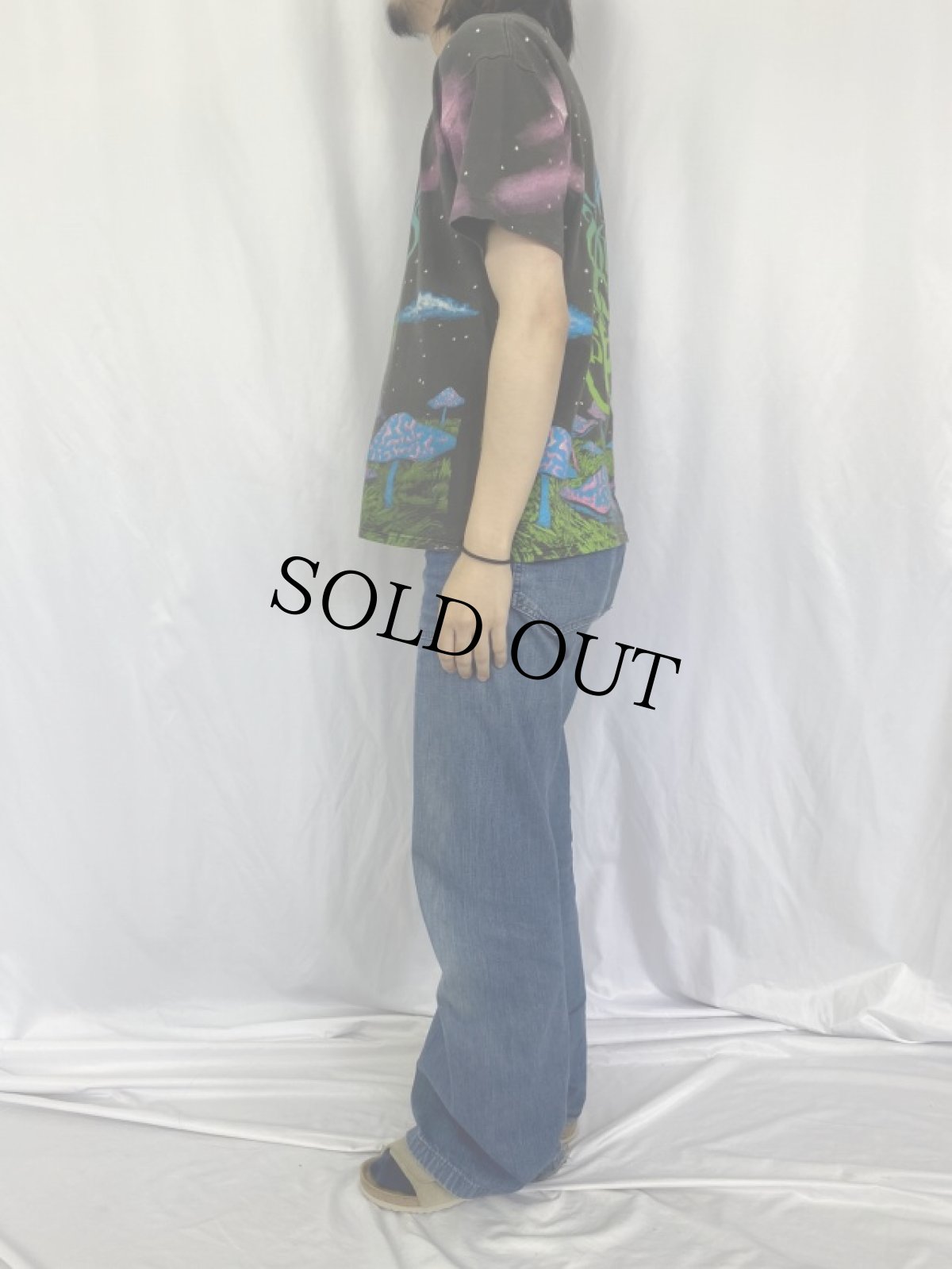 画像3: 90's The Allman Brothers Band USA製 サザンロックバンド 大判プリントTシャツ L (3)