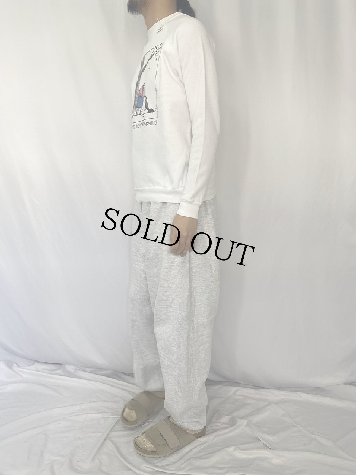 画像3: 90's USA製 "ONE VERY NEAT GRANDMOTHER" イラストプリントスウェット M (3)