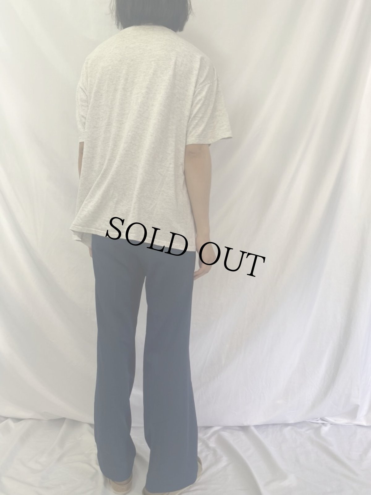 画像5: 90's USA製 "GODZILA SUSHI" キャラクターパロディプリントTシャツ XL (5)