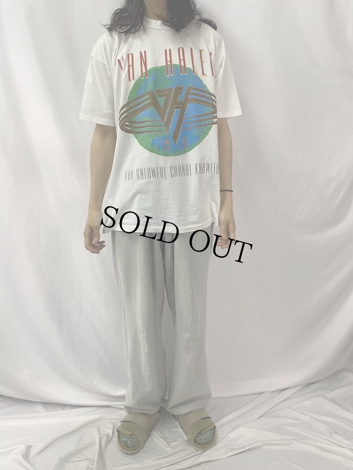 画像2: 90's VAN HELEN USA製 "FOR UNLAWFUL CARNAL KNOWLEDGE" ロックバンドプリントTシャツ XL (2)