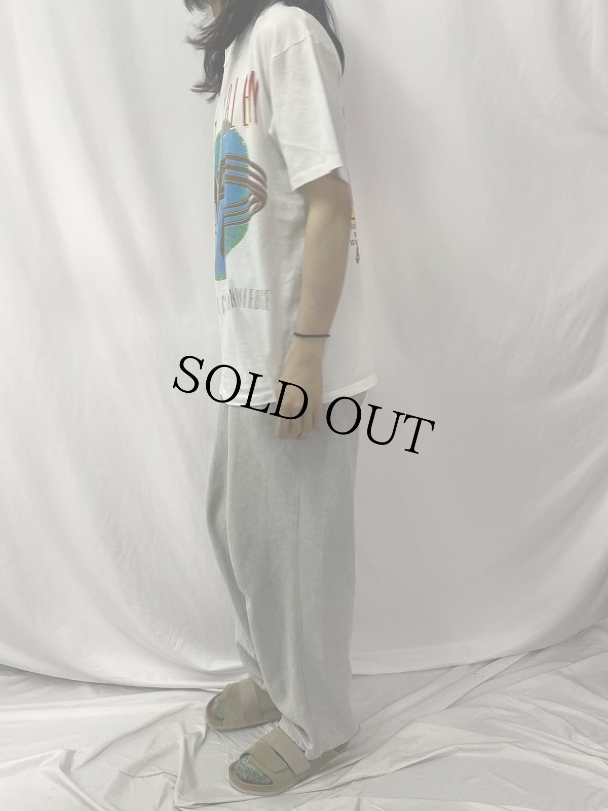 画像3: 90's VAN HELEN USA製 "FOR UNLAWFUL CARNAL KNOWLEDGE" ロックバンドプリントTシャツ XL (3)