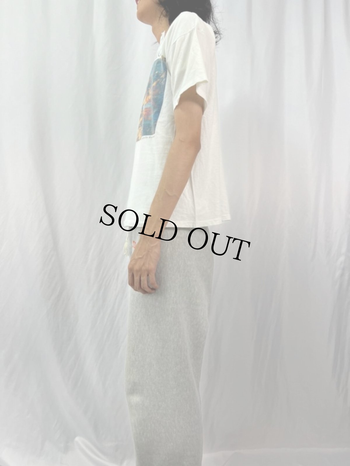 画像3: 90's MICHELANGELO "Giudizio Universale" アートプリントTシャツ (3)