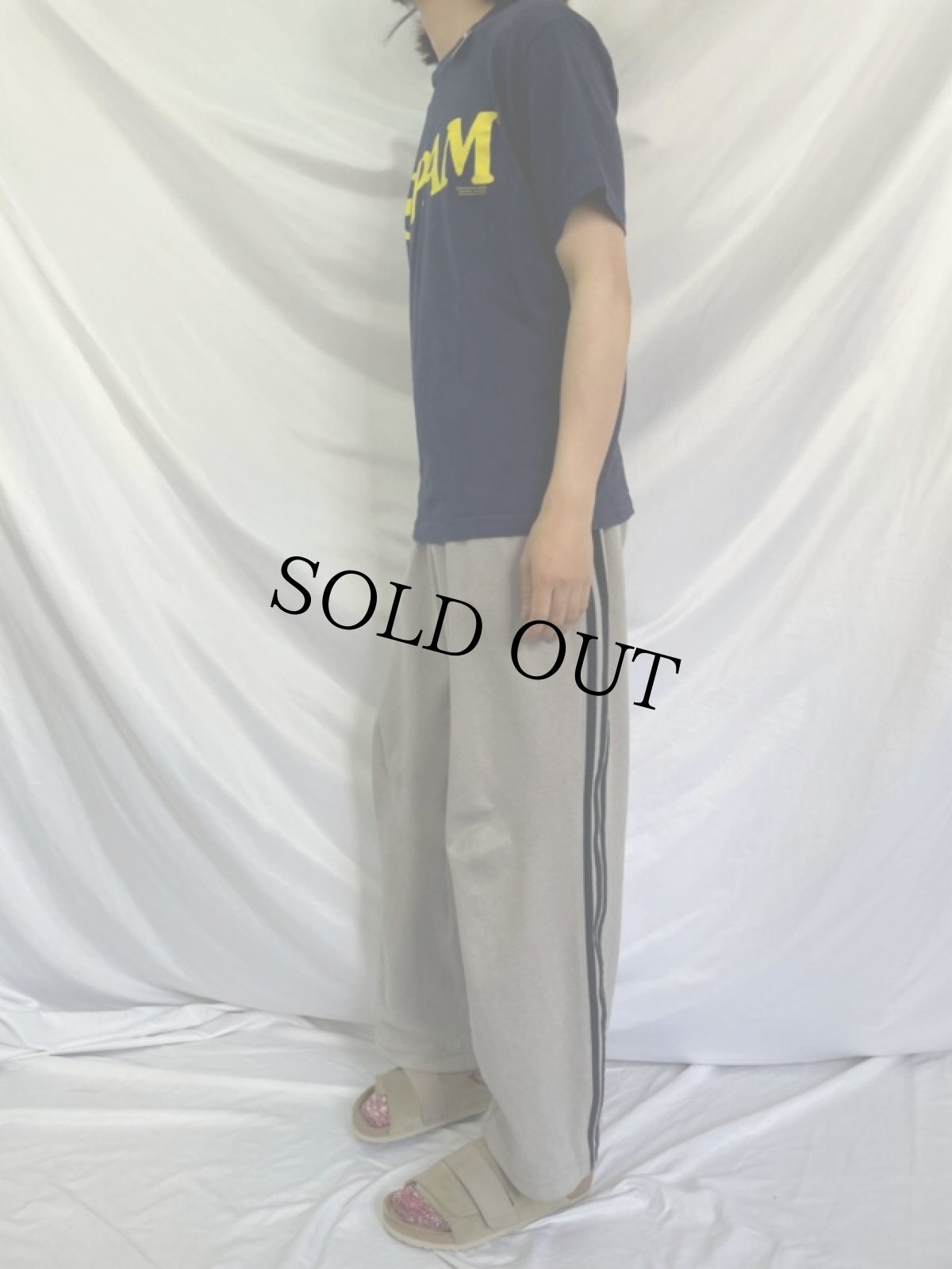 画像3: 90's SPAM USA製 プリントTシャツ NAVY M (3)