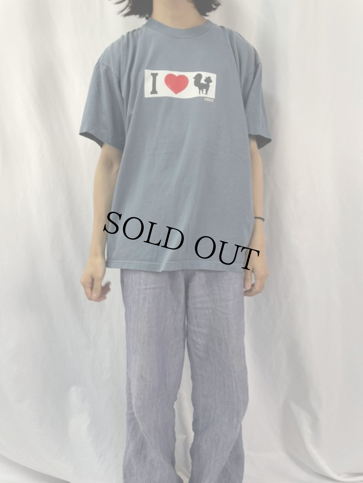 画像2: 90's Porn Star Clothing USA製 スケートブランド プリントTシャツ L (2)