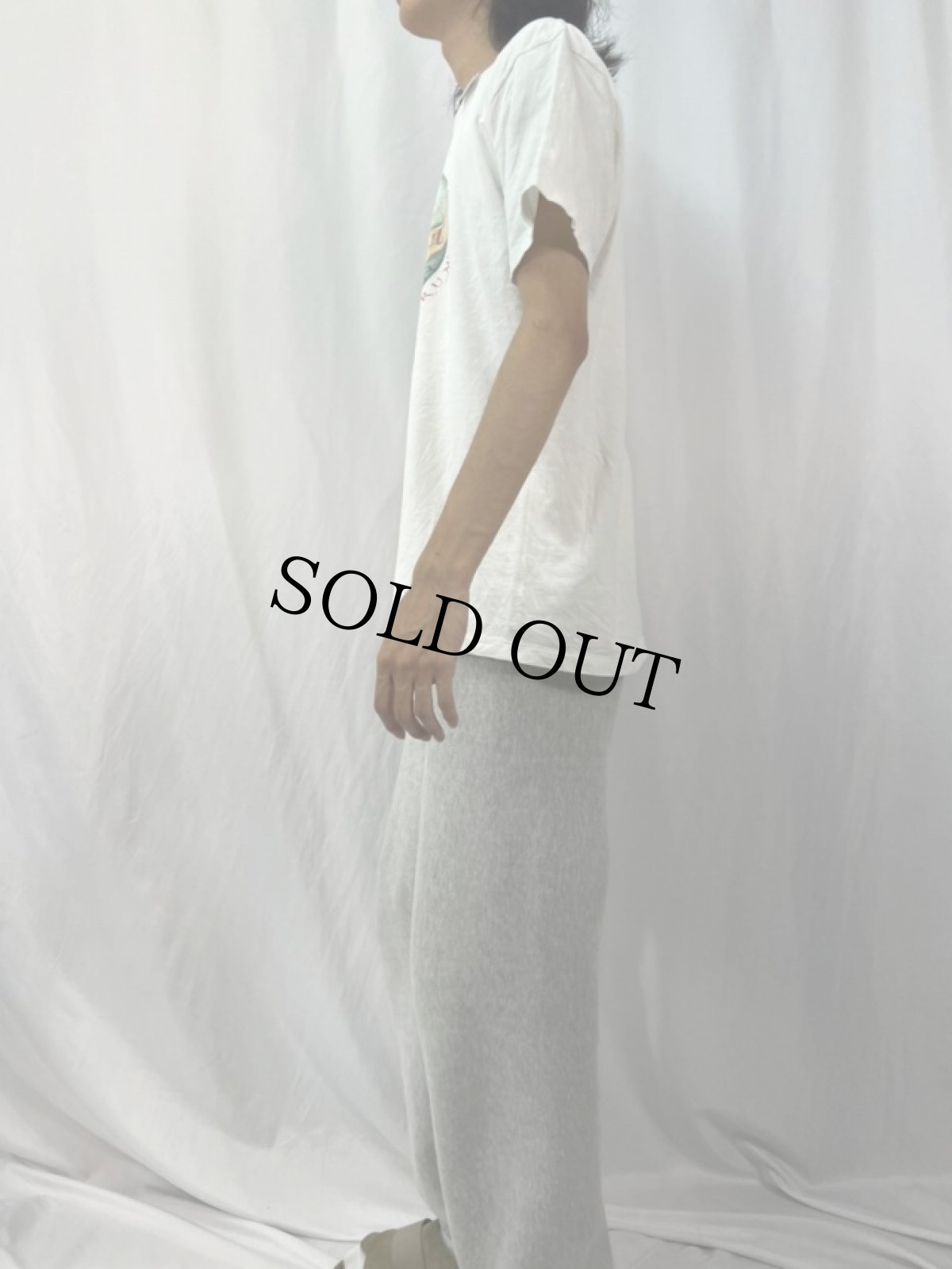 画像3: 80's BANANA REPUBLIC プリントTシャツ (3)