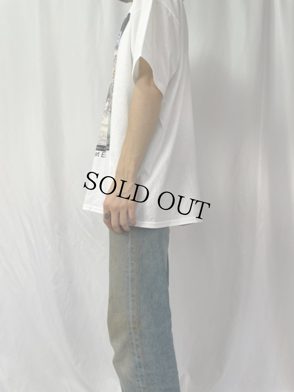 画像3: 90's Claude Monet USA製 "garden at V?theuil" アートプリントTシャツ XL (3)