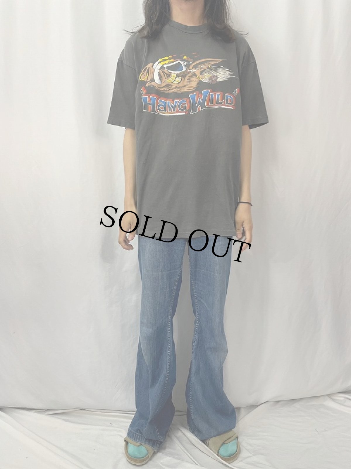 画像2: 90's HARLEY-DAVIDSON USA製 "Hawg Wild" プリントTシャツ BLACK XXL (2)