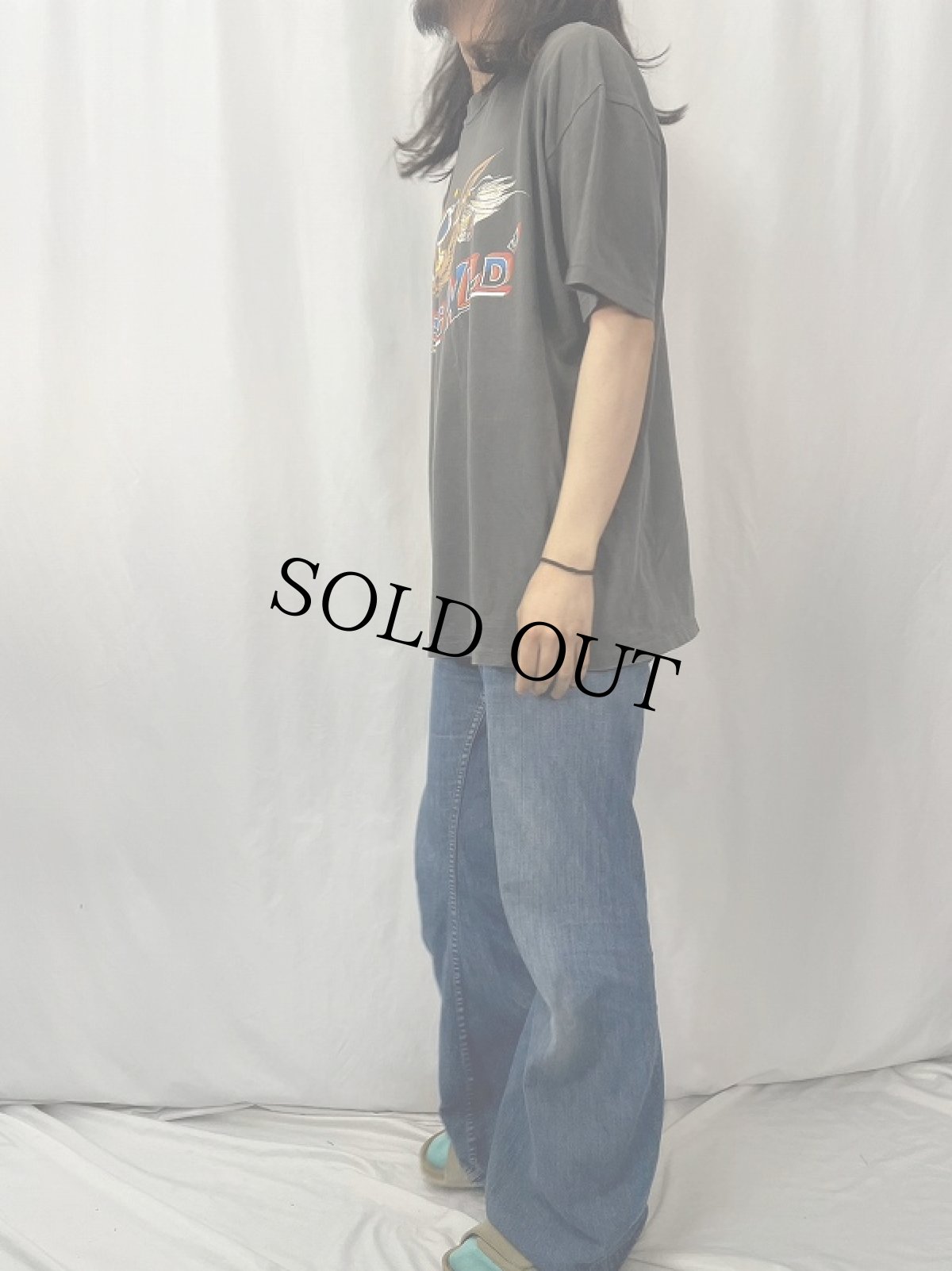 画像3: 90's HARLEY-DAVIDSON USA製 "Hawg Wild" プリントTシャツ BLACK XXL (3)