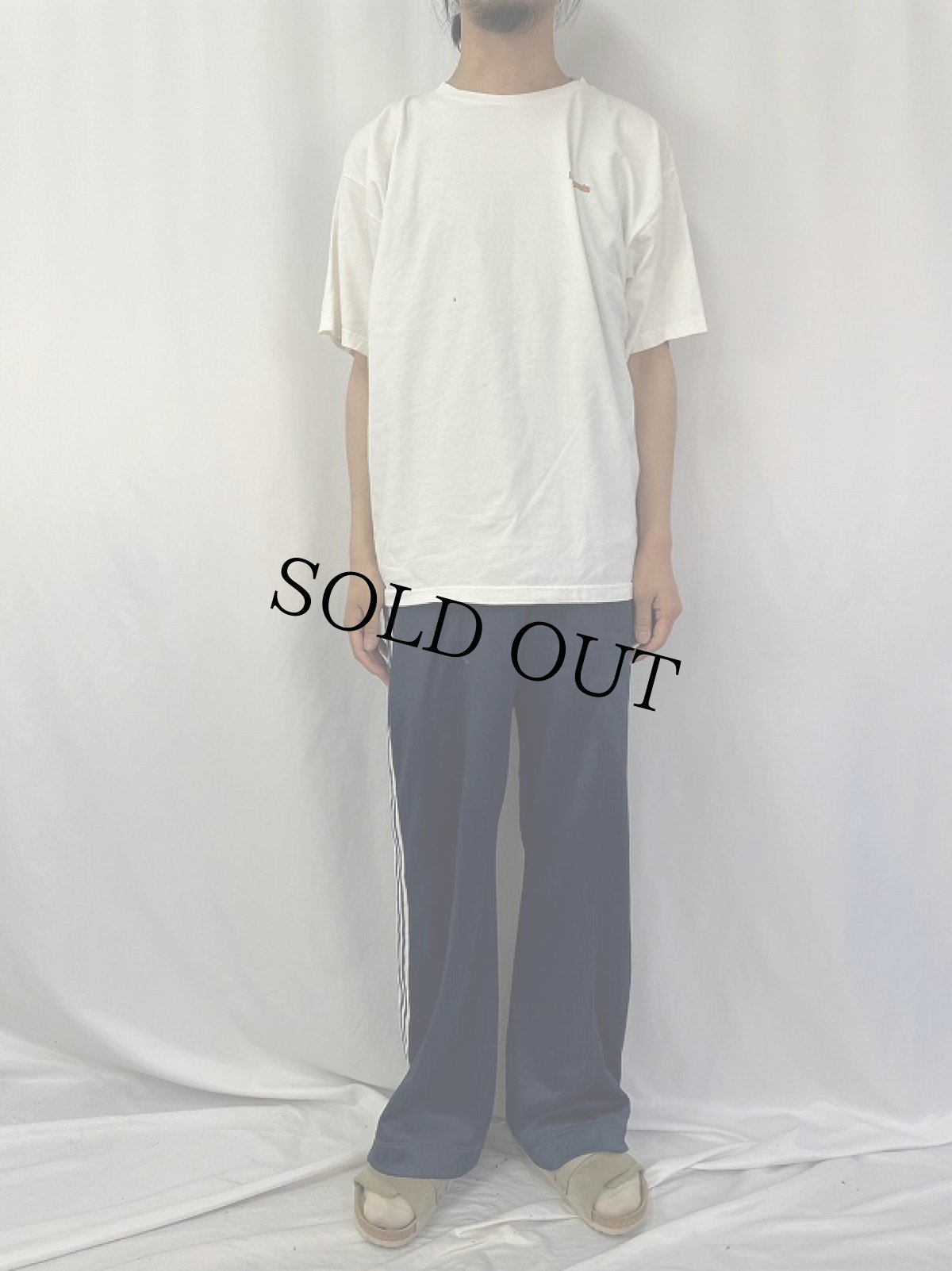 画像2: 90's Patagonia USA製 "フィッツロイ山脈" ロゴプリントTシャツ L (2)