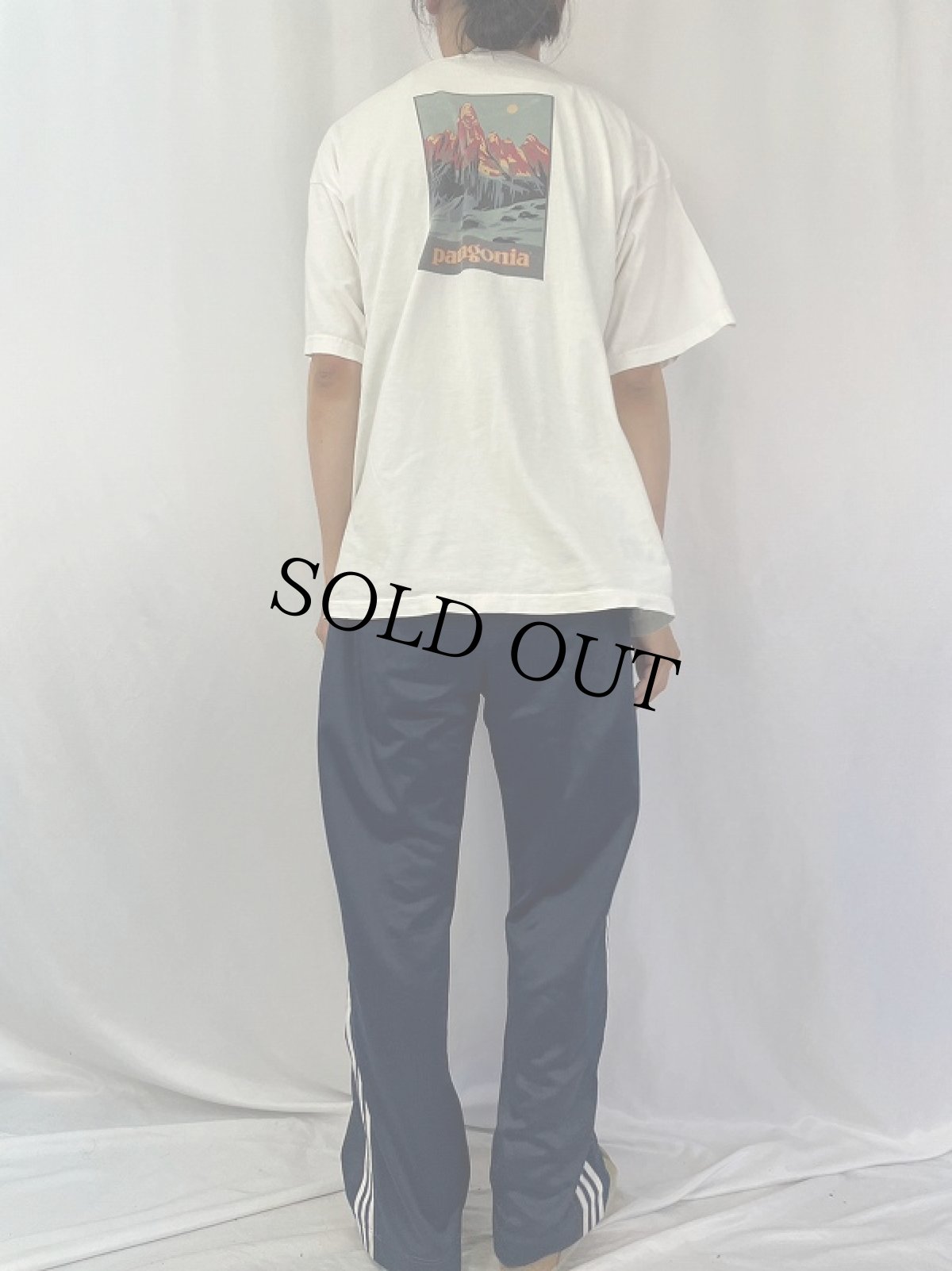 画像4: 90's Patagonia USA製 "フィッツロイ山脈" ロゴプリントTシャツ L (4)