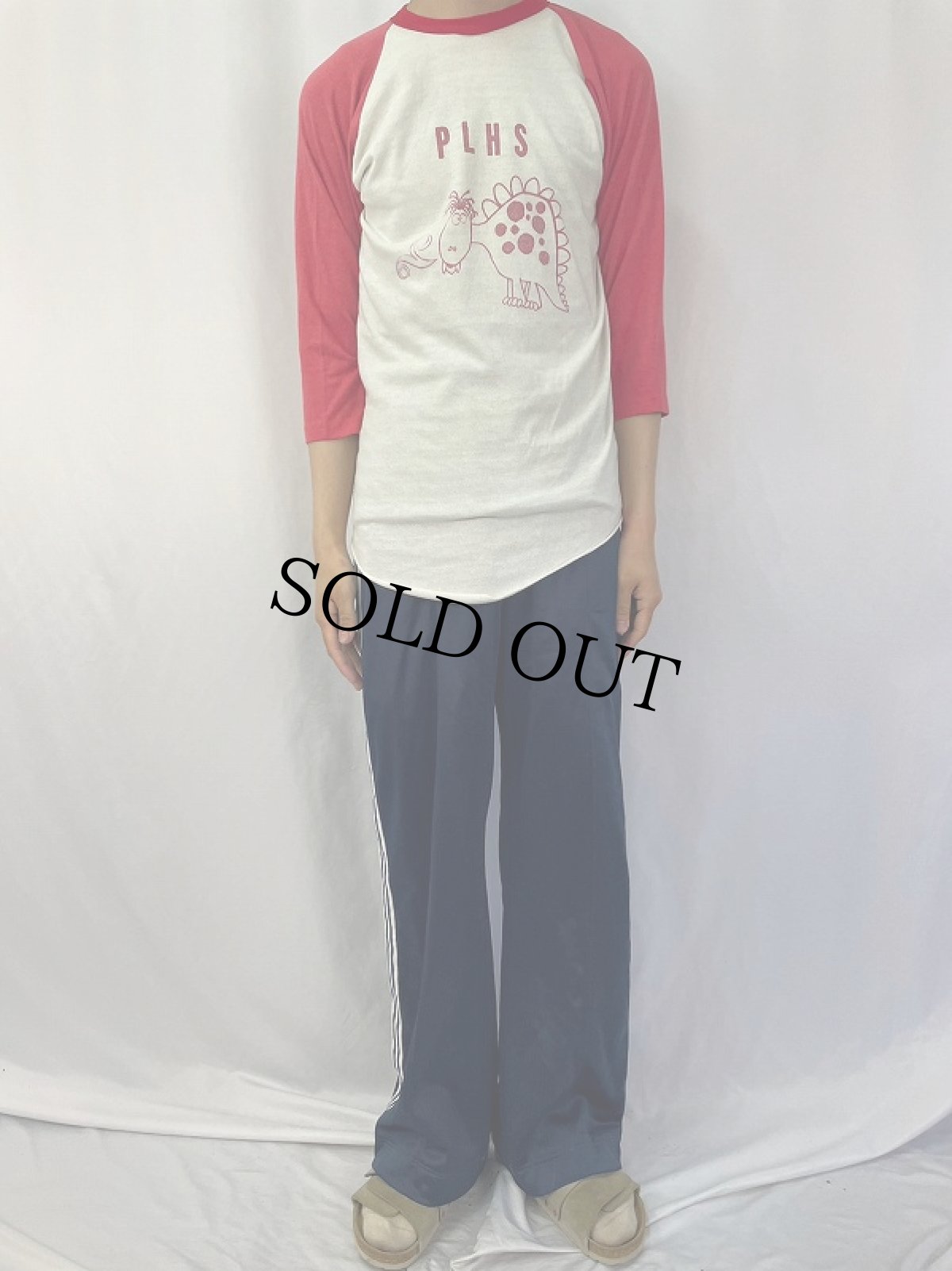 画像2: 80's USA製 "PLHS" 恐竜イラスト 染み込みプリント ラグランTシャツ L (2)