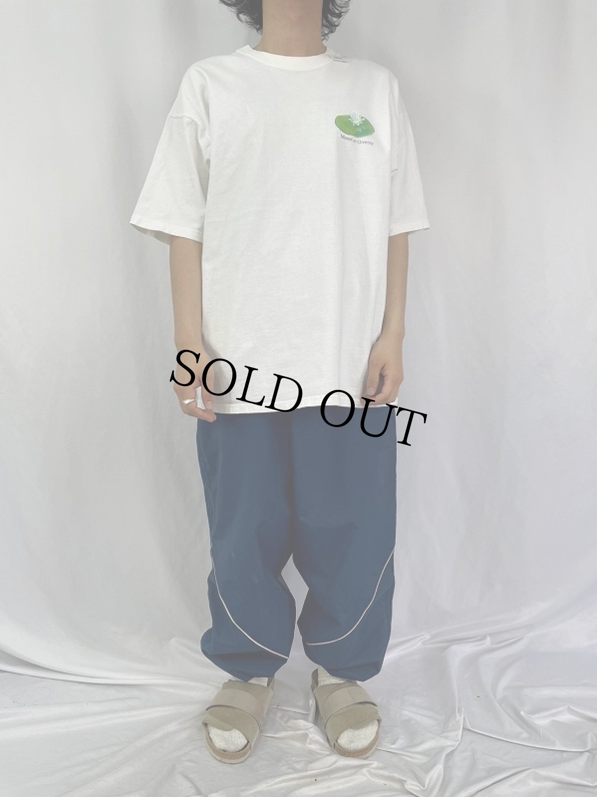 画像2: 90's Albright-Knox Art Gallery "Monet at Giverny" 美術館プリントTシャツ XL (2)