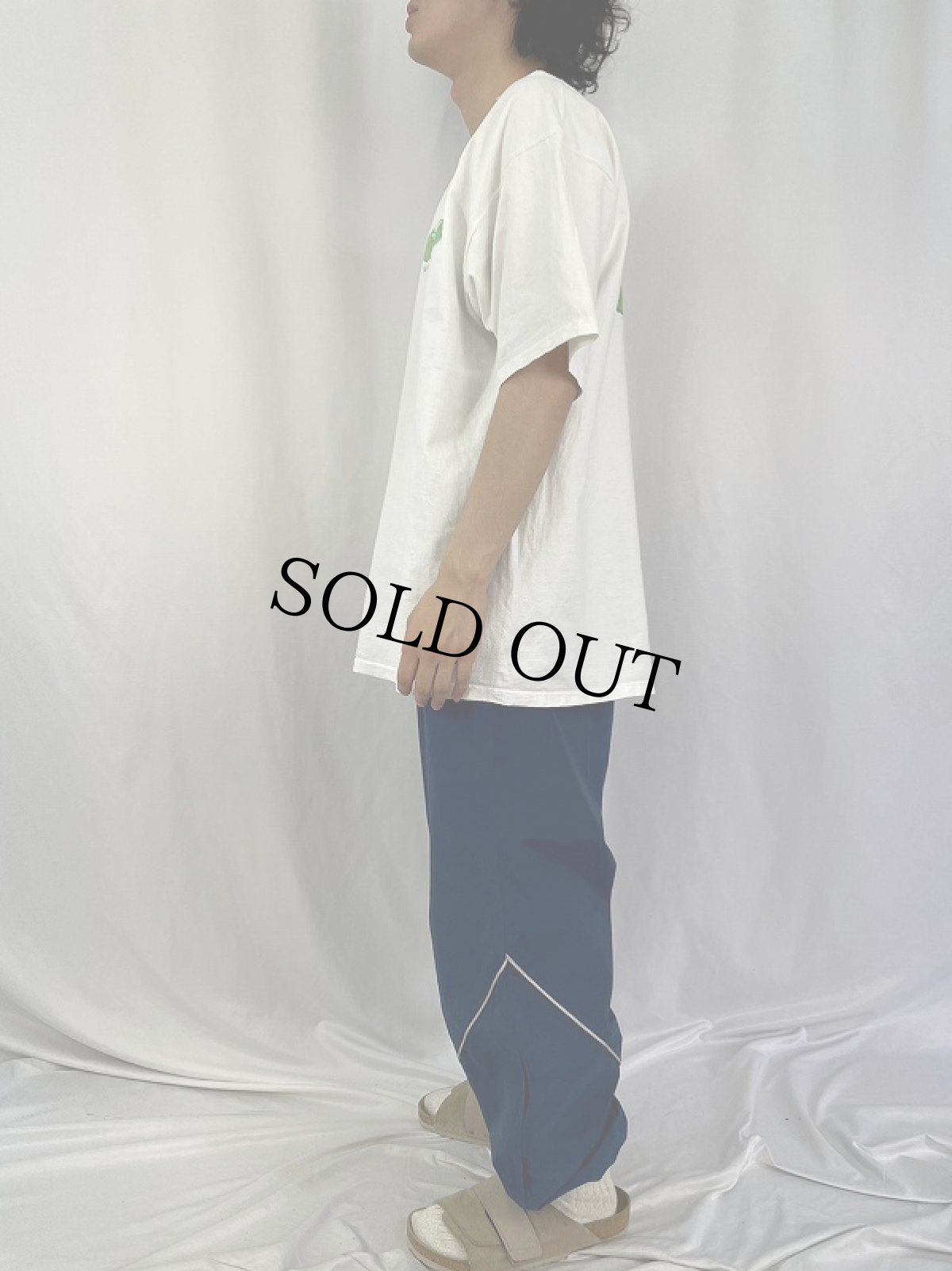 画像3: 90's Albright-Knox Art Gallery "Monet at Giverny" 美術館プリントTシャツ XL (3)