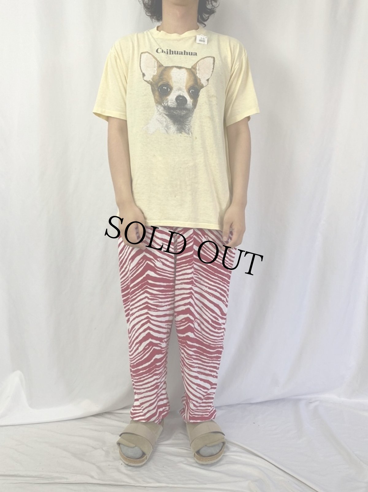 画像2: 90's "Chihuahua" 犬プリントTシャツ (2)