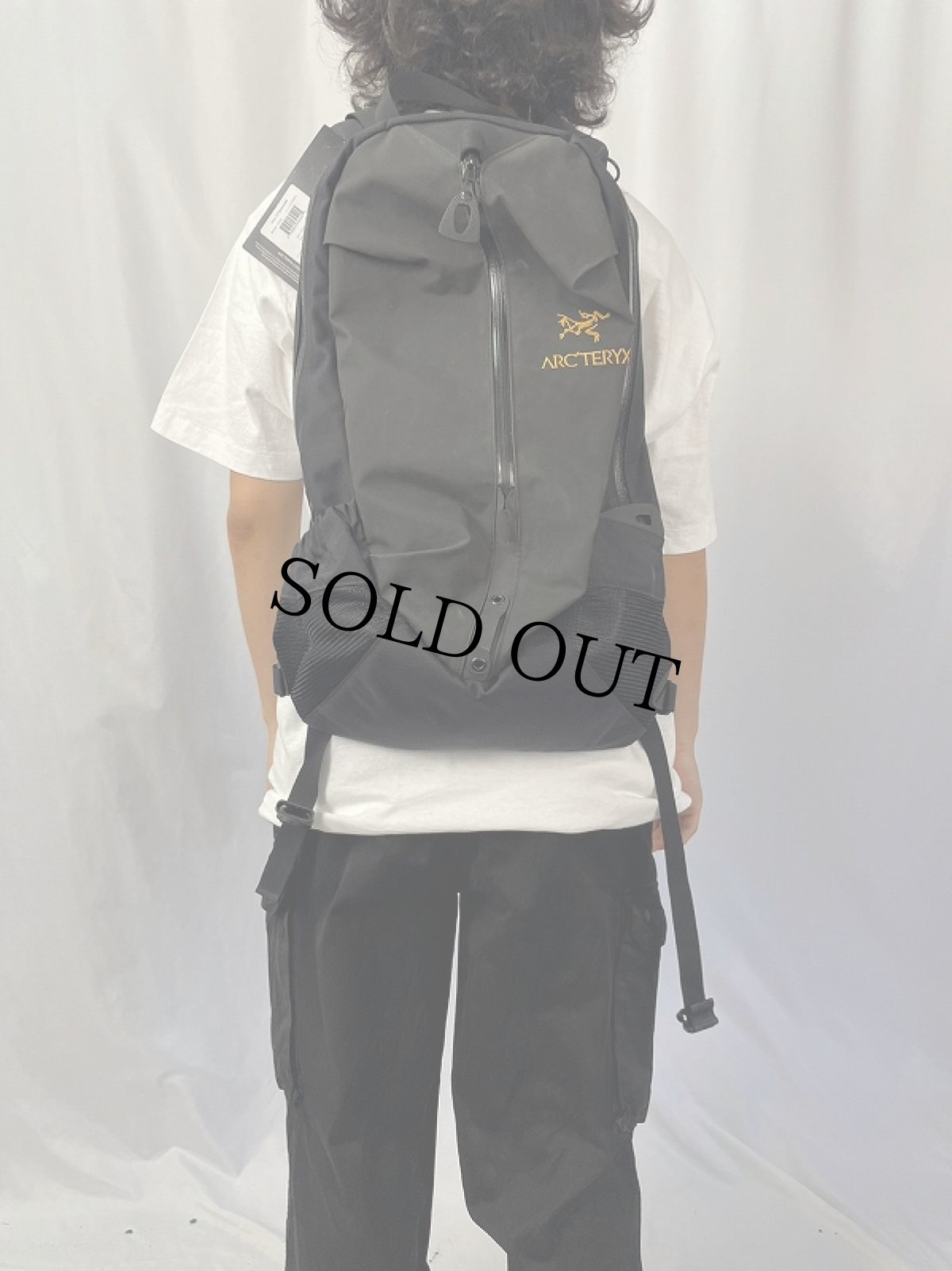 画像2: ARC'TERYX "Arro 22" バックパック BLACK タグ付き未使用 (2)