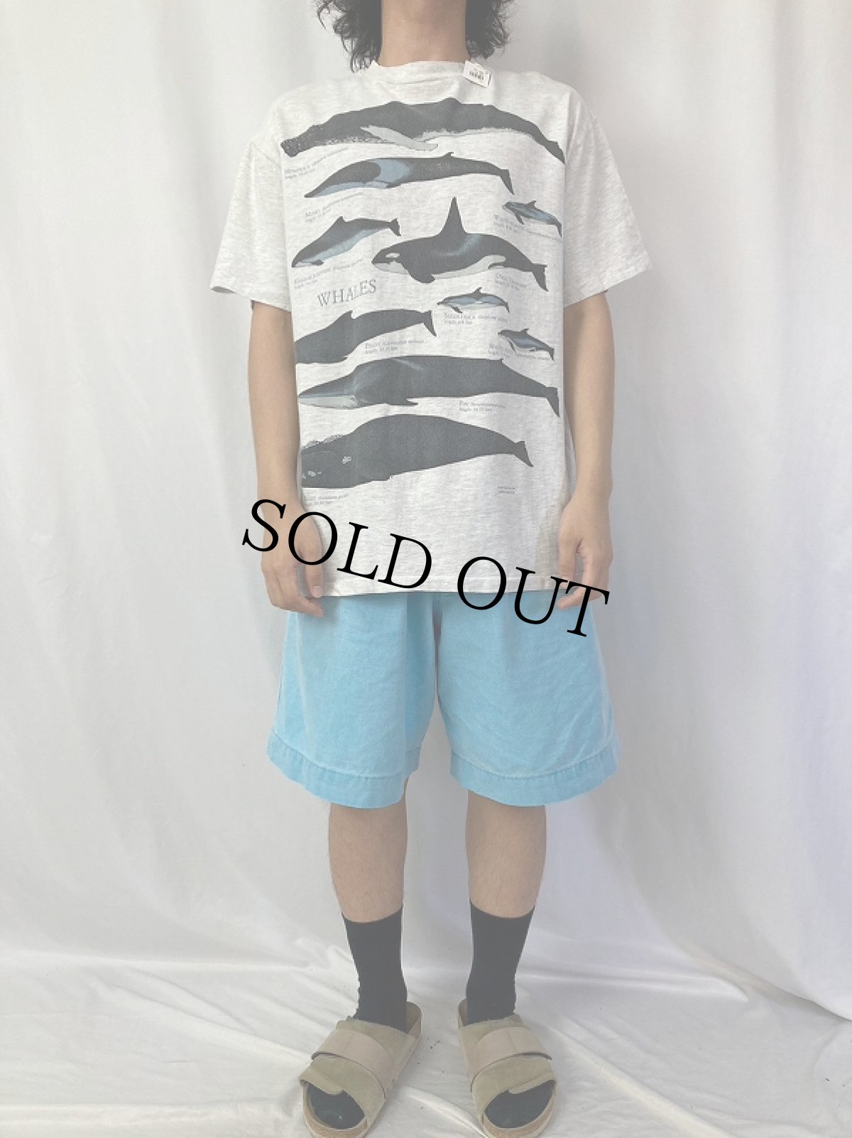 画像2: 90's LIBERTY GRAPHICS USA製 ホエールプリントTシャツ L (2)