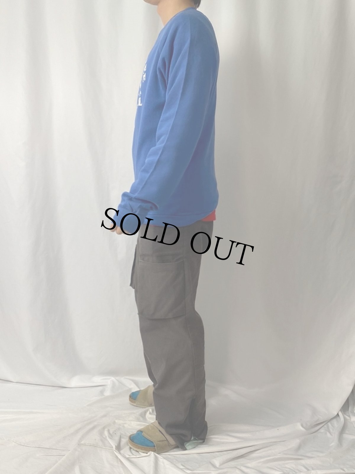 画像3: 90's USA製 "MAPLE TREE SCHOOL" ラグランプリントスウェット L (3)