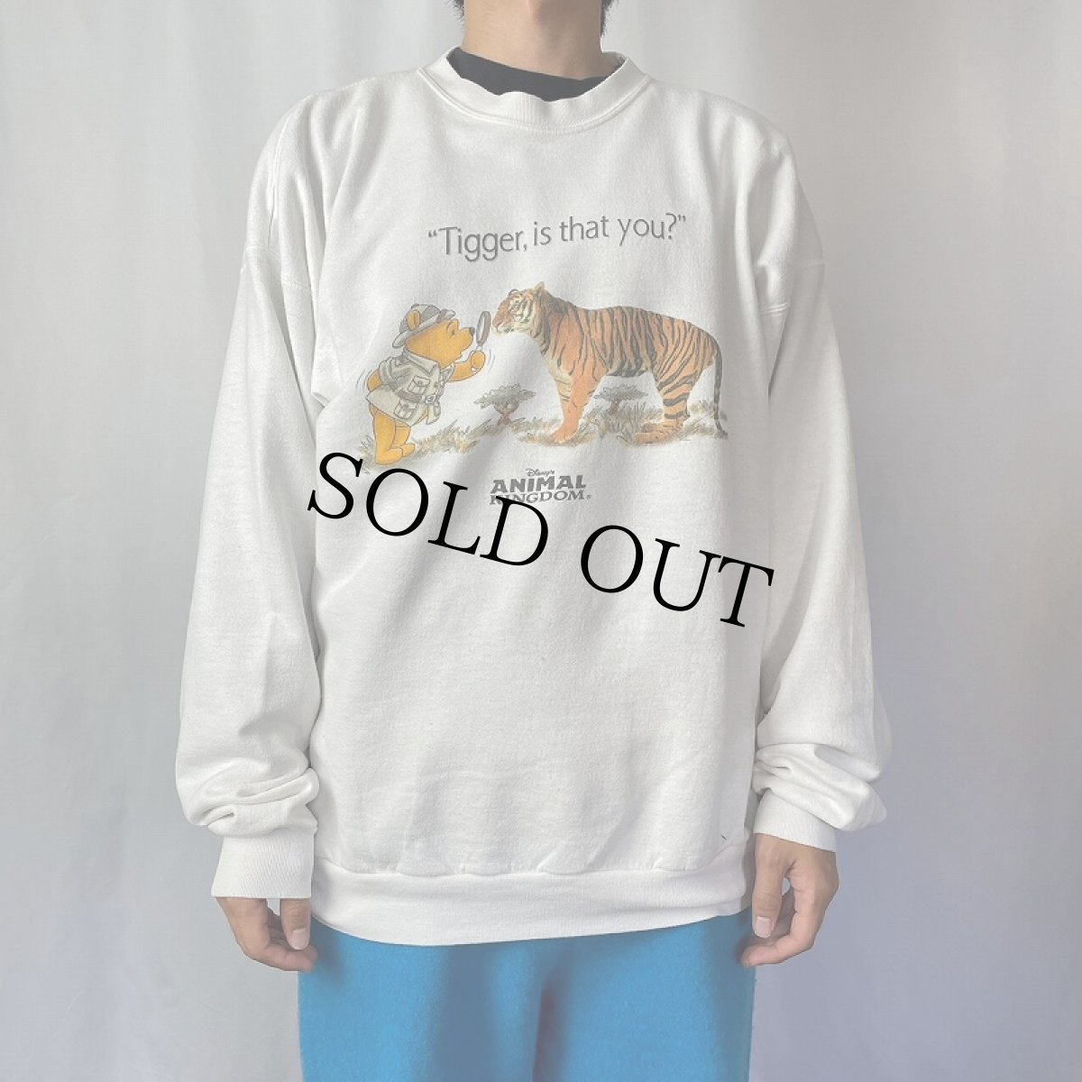 画像2: 90's〜 Disney "ANIMAL KINGDOM" キャラクタープリントスウェット (2)