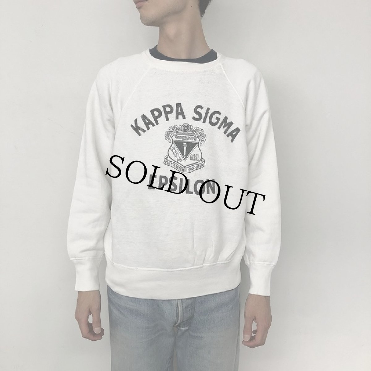 画像6: 60's Champion USA製 ランタグ "KAPPA SIGMA EPSILON" Sweat L (6)