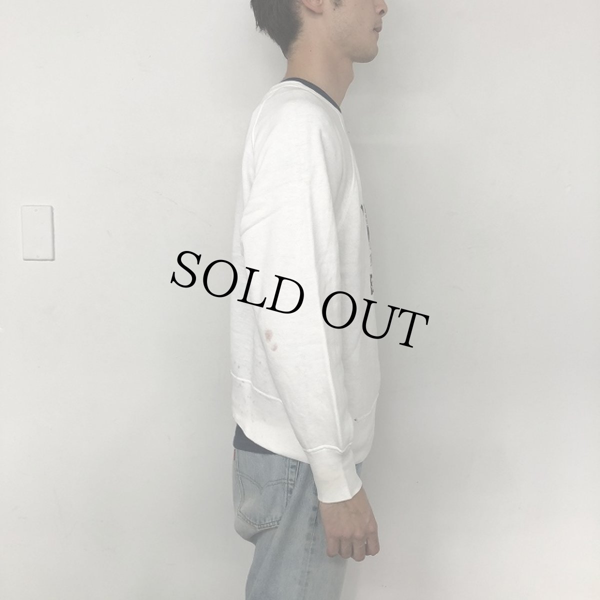 画像7: 60's Champion USA製 ランタグ "KAPPA SIGMA EPSILON" Sweat L (7)