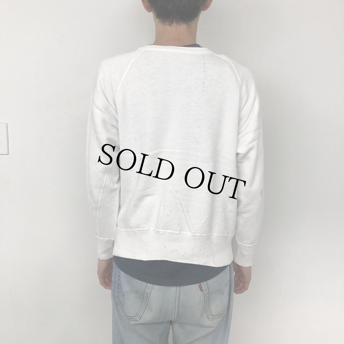 画像8: 60's Champion USA製 ランタグ "KAPPA SIGMA EPSILON" Sweat L (8)