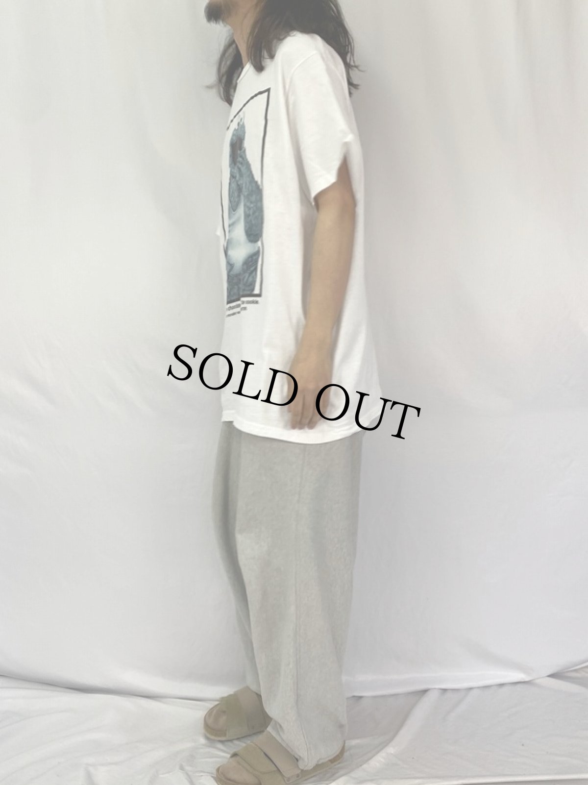 画像3: 90's COOKIE MONSTER USA製 "Calvin Klein"パロディTシャツ XL (3)