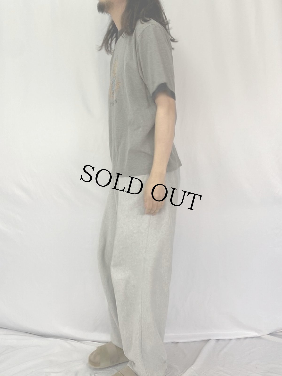 画像3: 90's PIGPEN USA製 キャラクタープリントリンガーTシャツ L (3)